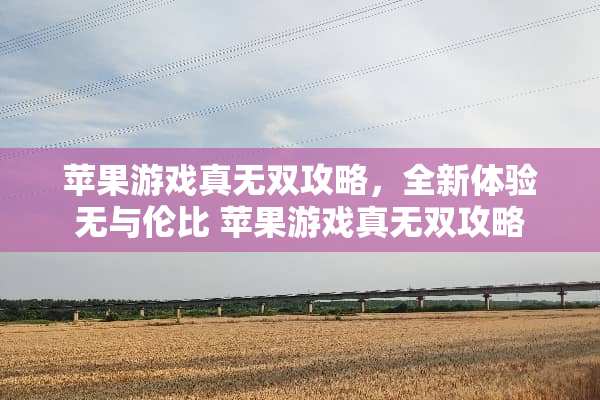 苹果游戏真无双攻略，全新体验无与伦比 苹果游戏真无双攻略