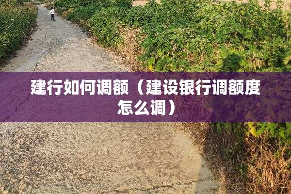 建行如何调额（建设银行调额度怎么调）