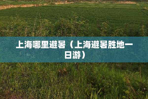 上海哪里避暑（上海避暑胜地一日游）