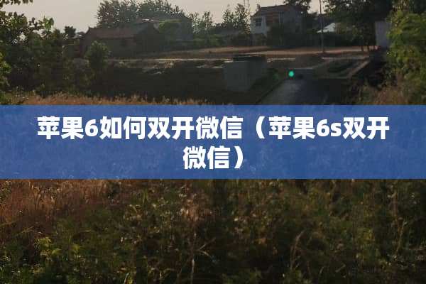 苹果6如何双开微信（苹果6s双开微信）