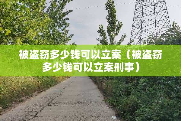被盗窃多少钱可以立案（被盗窃多少钱可以立案刑事）