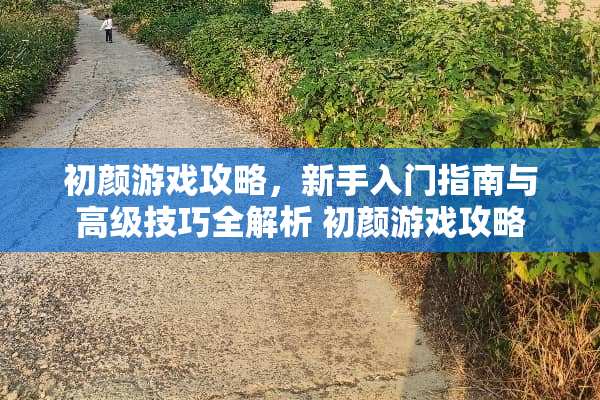 初颜游戏攻略，新手入门指南与高级技巧全解析 初颜游戏攻略