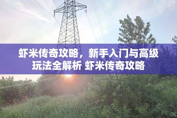 虾米传奇攻略，新手入门与高级玩法全解析 虾米传奇攻略