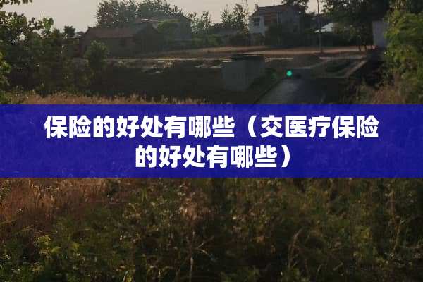 保险的好处有哪些（交医疗保险的好处有哪些）