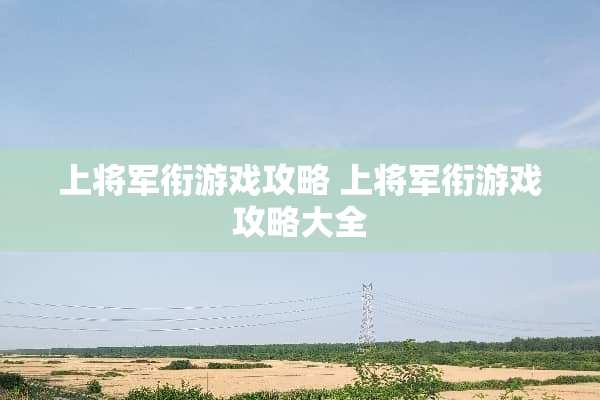 上将军衔游戏攻略 上将军衔游戏攻略大全