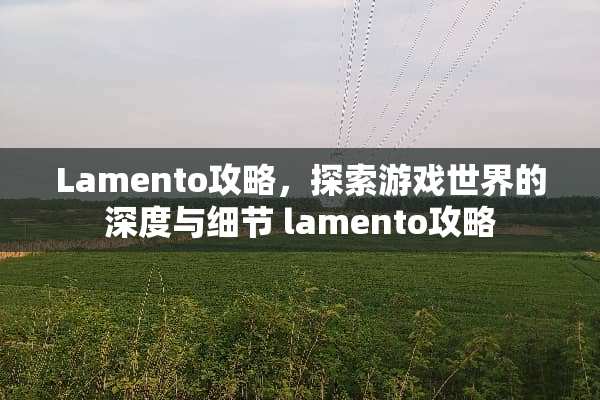 Lamento攻略，探索游戏世界的深度与细节 lamento攻略