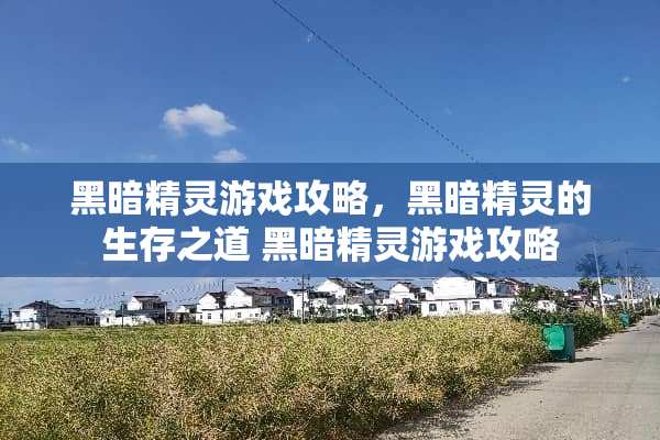黑暗精灵游戏攻略，黑暗精灵的生存之道 黑暗精灵游戏攻略