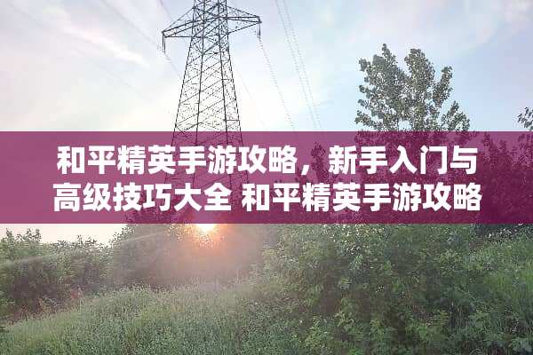 和平精英手游攻略，新手入门与高级技巧大全 和平精英手游攻略