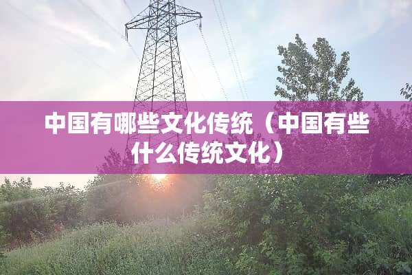 中国有哪些文化传统（中国有些什么传统文化）
