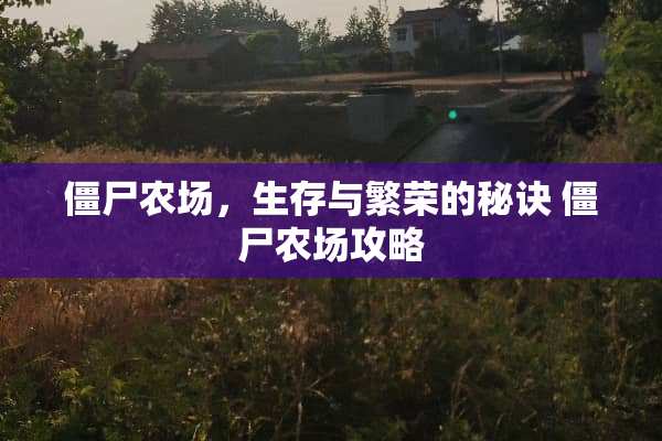 僵尸农场，生存与繁荣的秘诀 僵尸农场攻略