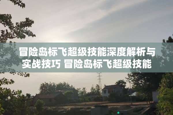 冒险岛标飞超级技能深度解析与实战技巧 冒险岛标飞超级技能