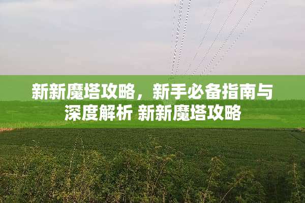 新新魔塔攻略，新手必备指南与深度解析 新新魔塔攻略