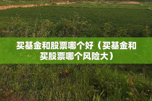 买基金和股票哪个好（买基金和买股票哪个风险大）