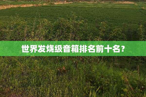世界发烧级音箱排名前十名？