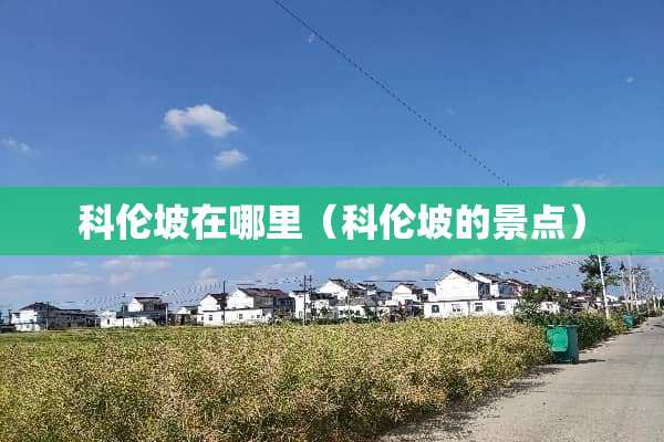 科伦坡在哪里（科伦坡的景点）