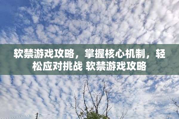 软禁游戏攻略，掌握核心机制，轻松应对挑战 软禁游戏攻略