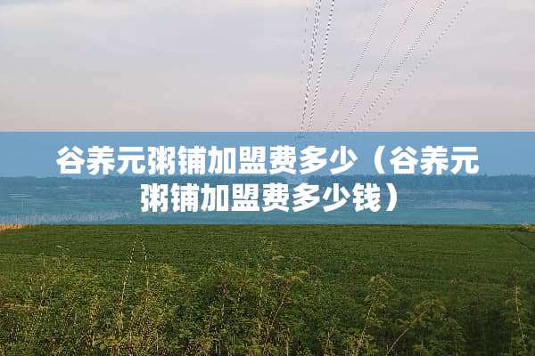 谷养元粥铺加盟费多少（谷养元粥铺加盟费多少钱）