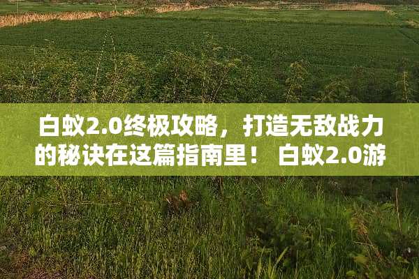 白蚁2.0终极攻略，打造无敌战力的秘诀在这篇指南里！ 白蚁2.0游戏攻略