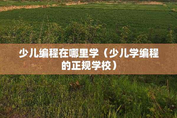 少儿编程在哪里学（少儿学编程的正规学校）