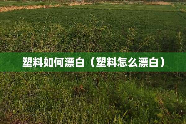 塑料如何漂白（塑料怎么漂白）