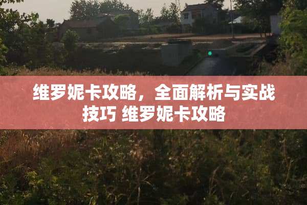维罗妮卡攻略，全面解析与实战技巧 维罗妮卡攻略
