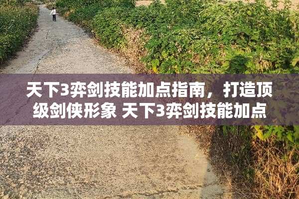 天下3弈剑技能加点指南，打造**剑侠形象 天下3弈剑技能加点
