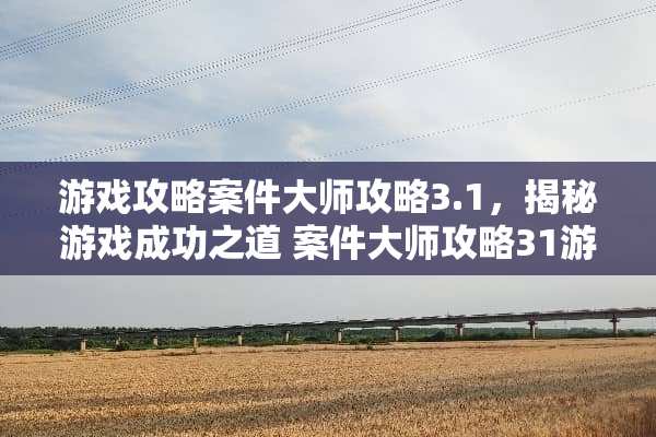 游戏攻略案件大师攻略3.1，揭秘游戏成功之道 案件大师攻略31游戏