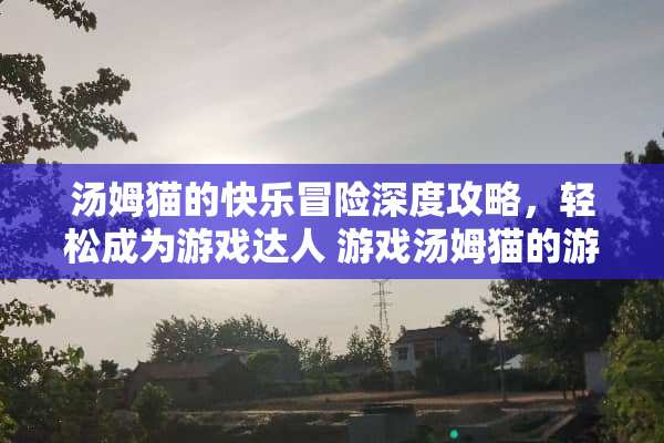 汤姆猫的快乐冒险深度攻略，轻松成为游戏达人 游戏汤姆猫的游戏攻略