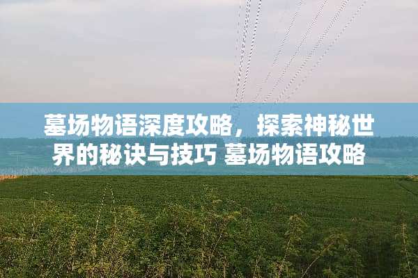 墓场物语深度攻略，探索神秘世界的秘诀与技巧 墓场物语攻略