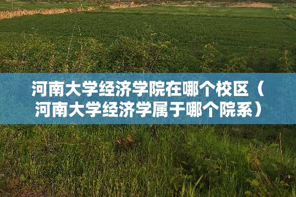 河南大学经济学院在哪个校区（河南大学经济学属于哪个院系）