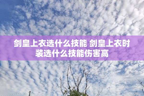 剑皇上衣选什么技能 剑皇上衣时装选什么技能伤害高