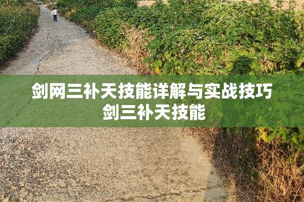 剑网三补天技能详解与实战技巧 剑三补天技能