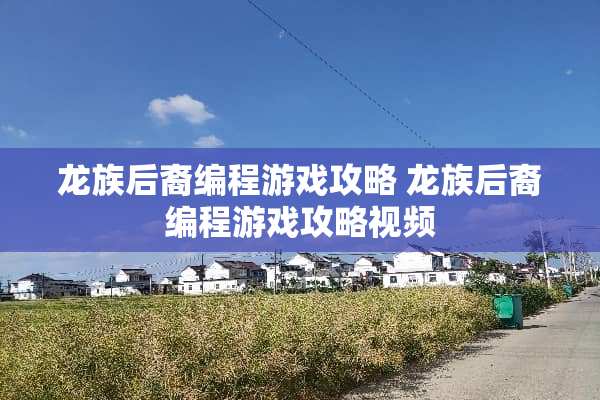 龙族后裔编程游戏攻略 龙族后裔编程游戏攻略视频
