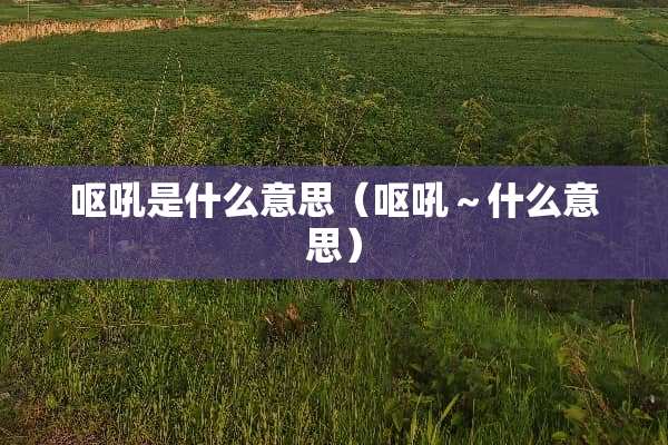 呕吼是什么意思（呕吼～什么意思）