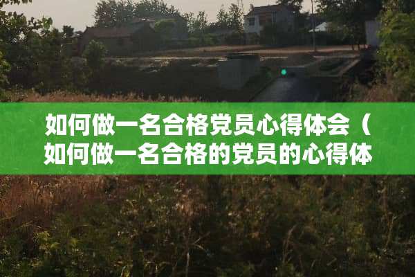 如何做一名合格*员心得体会（如何做一名合格的*员的心得体会500）