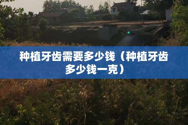 种植牙齿需要多少钱（种植牙齿多少钱一克）