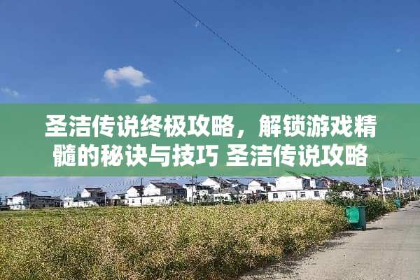圣洁传说终极攻略，解锁游戏精髓的秘诀与技巧 圣洁传说攻略