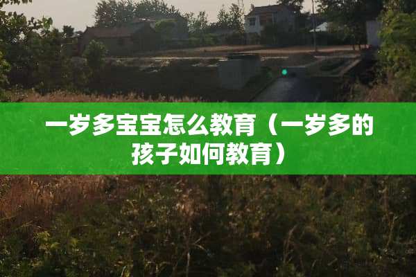 一岁多宝宝怎么教育（一岁多的孩子如何教育）