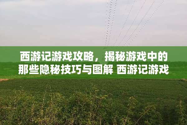 西游记游戏攻略，揭秘游戏中的那些隐秘技巧与图解 西游记游戏攻略图