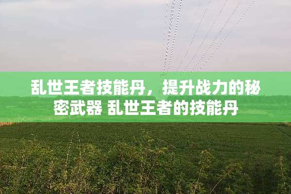 乱世王者技能丹，提升战力的秘密** 乱世王者的技能丹