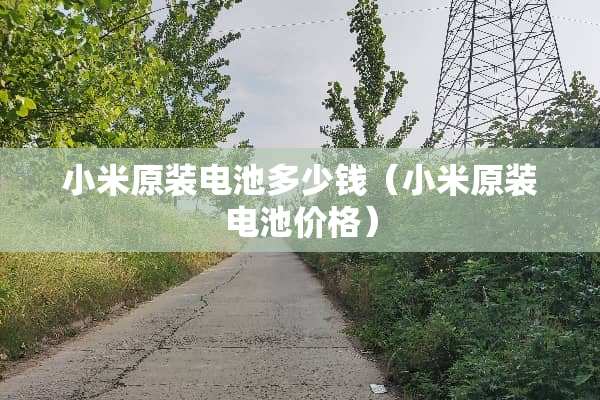 小米原装电池多少钱（小米原装电池价格）