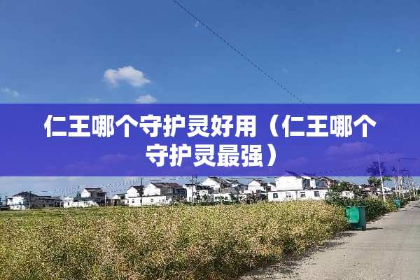 仁王哪个守护灵好用（仁王哪个守护灵最强）