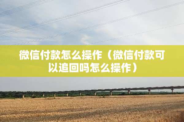 微信付款怎么操作（微信付款可以追回吗怎么操作）