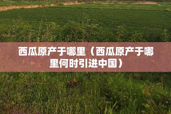 西瓜原产于哪里（西瓜原产于哪里何时引进中国）