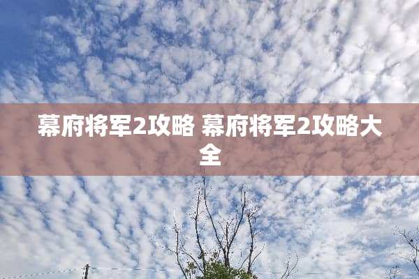 幕府将军2攻略 幕府将军2攻略大全 幕府将军2攻略 幕府将军2攻略大全