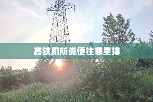 高铁厕所粪便往哪里排 高铁厕所粪便往哪里排