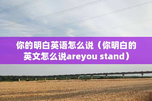 你的明白英语怎么说（你明白的英文怎么说areyou stand）
