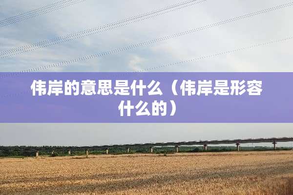 伟岸的意思是什么（伟岸是形容什么的）