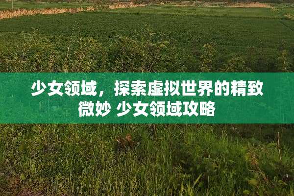 少女领域,探索虚拟世界的精致微妙 少女领域攻略 少女领域,探索虚拟世界的精致微妙 少女领域攻略