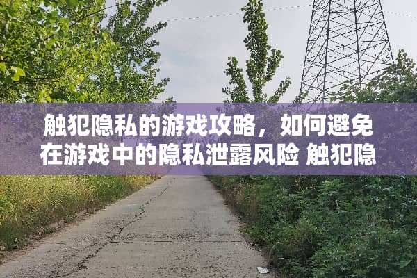 触犯隐私的游戏攻略，如何避免在游戏中的隐私泄露风险 触犯隐私的游戏攻略